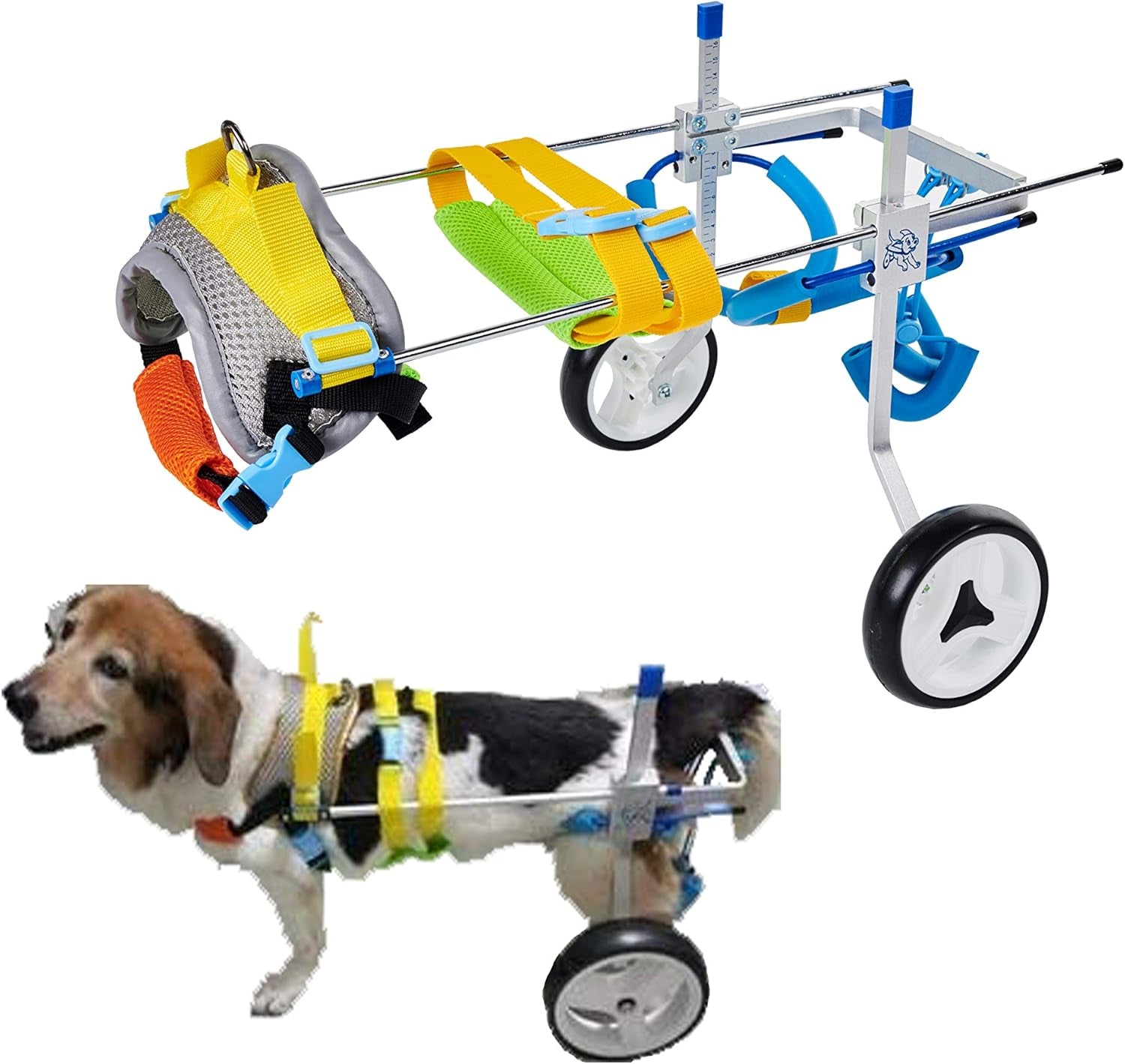 Dog Wheelchair for Handicapped Hind Legs, Two Wheels, Adjustable, 7 Sizes, Green, Blue