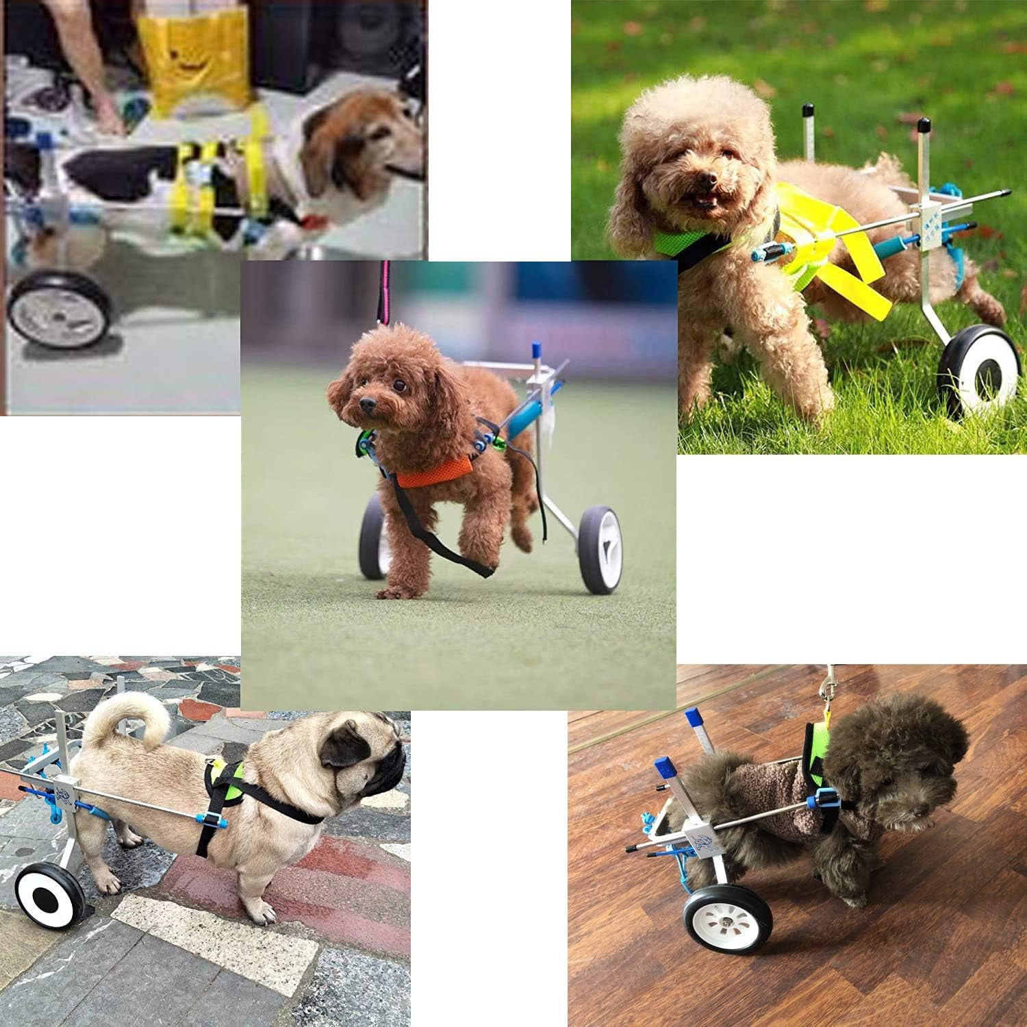 Dog Wheelchair for Handicapped Hind Legs, Two Wheels, Adjustable, 7 Sizes, Green, Blue
